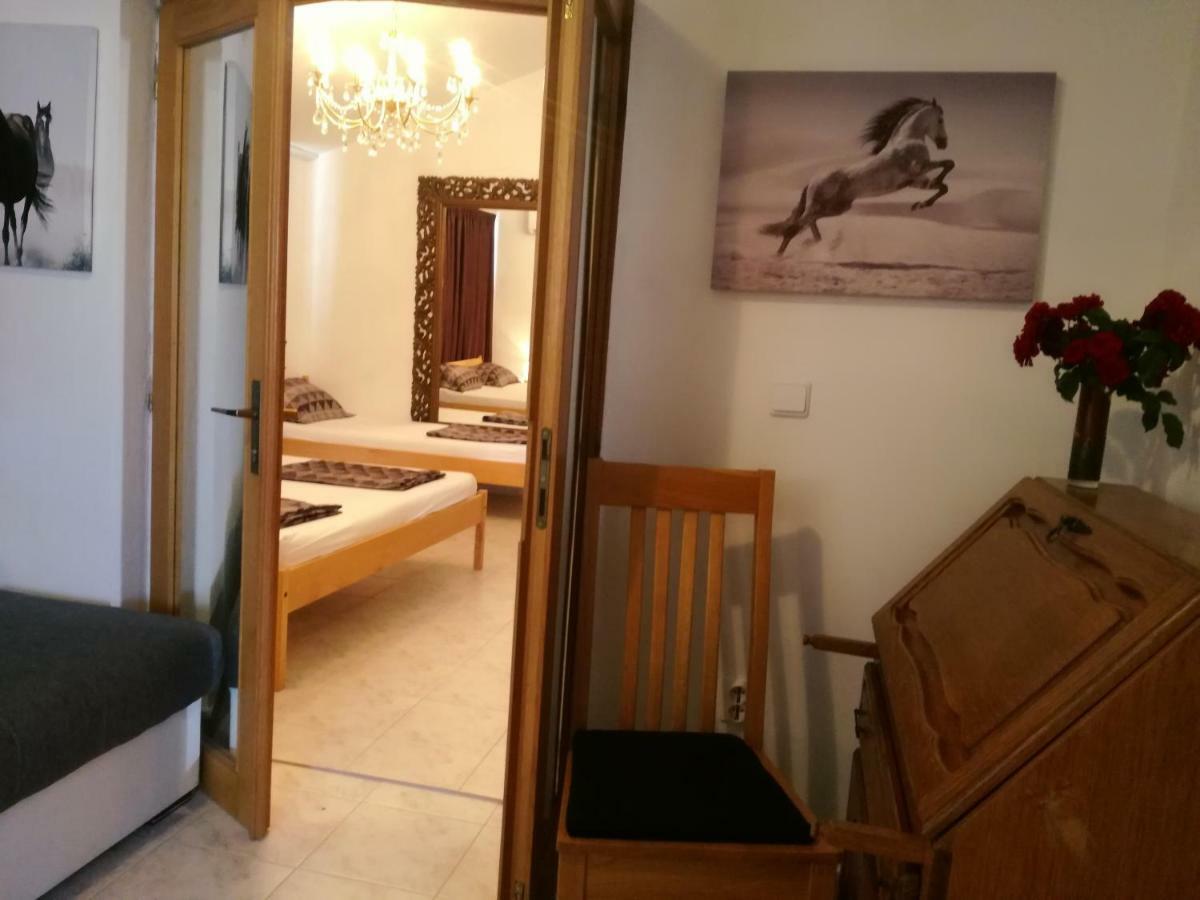Rooms & Apartments Hegic زادار المظهر الخارجي الصورة